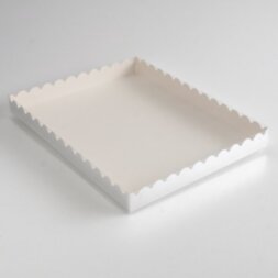 Коробочка для печенья с PVC крышкой, серебряная, 23,5 х 30 х 3 см