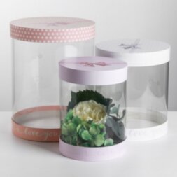 Коробка с PVC 3 в 1 «Стильный горох», 20*24см