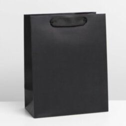 Пакет ламинированный «Чёрный», MS 18 × 23 × 10 см