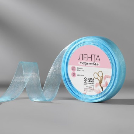 Лента капроновая, 20 мм, 20 ± 1 м, цвет тёмно-голубой