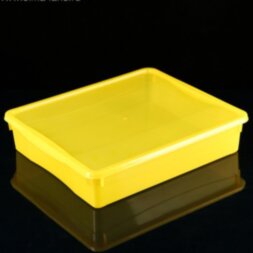Ящик для хранения с крышкой «Колор. Стайл», 9 л, 40×34×8,5 см, цвет МИКС