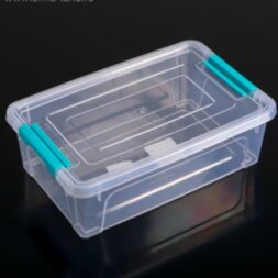 Контейнер для хранения с крышкой Алеана Smart Box, 1,7 л, 24×16×7 см, цвет прозрачно-бирюзовый