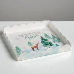 Коробка для кондитерских изделий с PVC крышкой Winter huge , 21 × 21 × 3 см