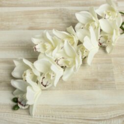 Цветы искусственные &quot;Орхидея амабилис&quot; 90 см, белая