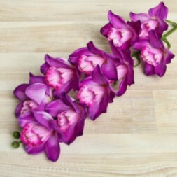 Цветы искусственные &quot;Орхидея амабилис&quot; 90 см, сиреневая