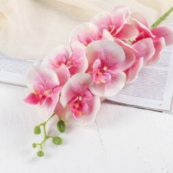 Цветы искусственные &quot;Орхидея Изящная&quot; 10*100 см, розовая