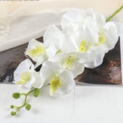 Цветы искусственные &quot;Орхидея Изящная&quot; 10*100 см,белая