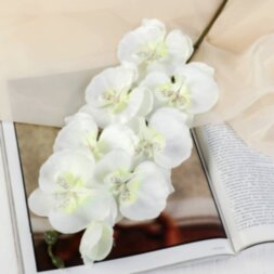 Цветы искусственные &quot;Орхидея молди&quot; 9*66 см, белая