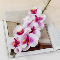 Цветы искусственные &quot;Орхидея молди&quot; 9*66 см, бело-фиолетовая