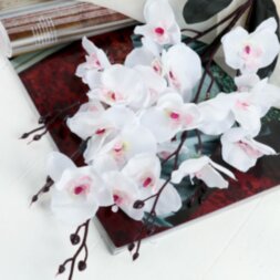 Цветы искусственные &quot;Орхидея фаленопсис&quot; 8*80 см, белый