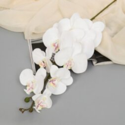 Цветы искусственные &quot;Орхидея фаленопсис бархатистая&quot; 10х90 см, белый