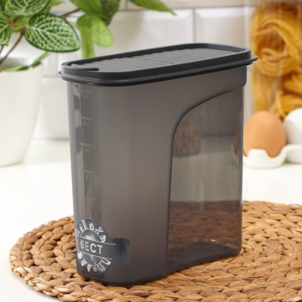 Ёмкость для сыпучих продуктов «Бест», 2 л, 9,5×19×19 см, цвет графитовый