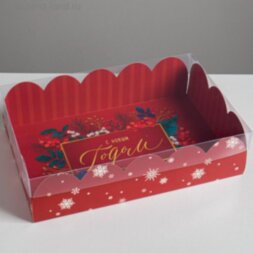 Коробка подарочная с PVC крышкой «С Новым годом», 20 × 30 × 8 см