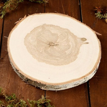 Спил берёзы, шлифованный с одной стороны, диаметр 23 см
