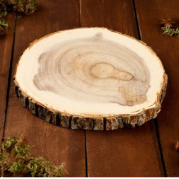 Спил вяза, шлифованный с одной стороны, диаметр 18-20 см
